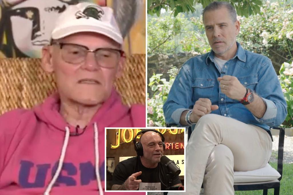 Carville avoids hunter biden 'may be president' President
