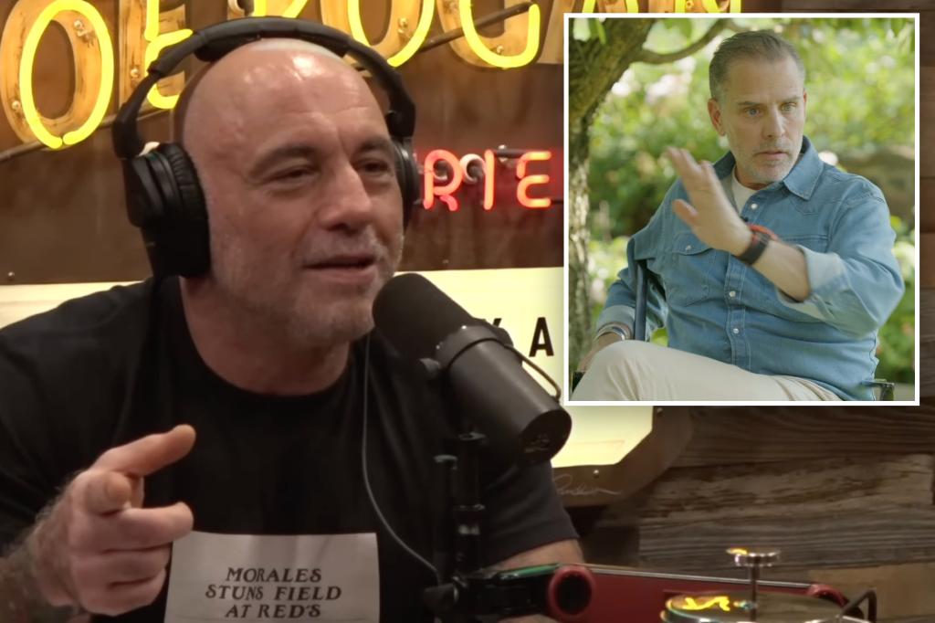 Joe Rogan Gushes Hunter Biden 'Smarter than his father' after the interview 'Crack Cocaine': 'He may be president'
