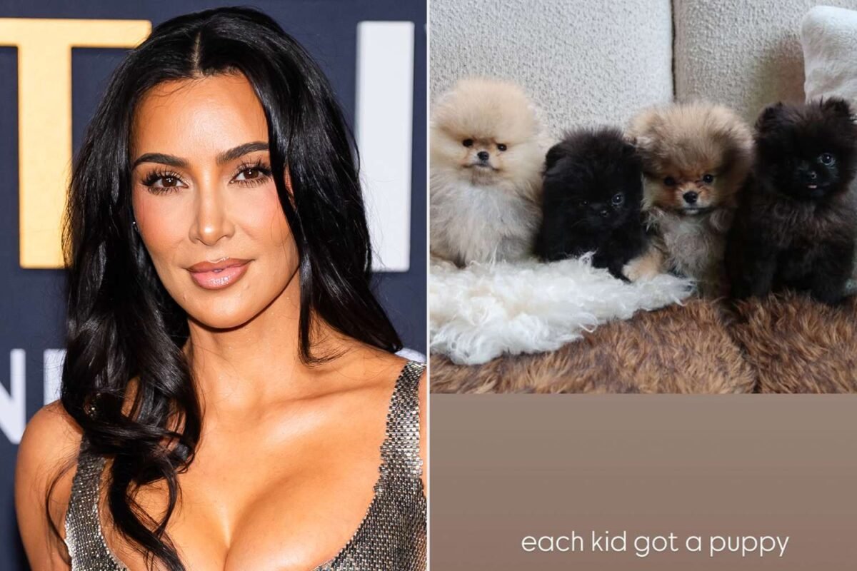 Which Kardashian Just Unleashed An Army Of Pomeranian Puppies On Instagram Stories?