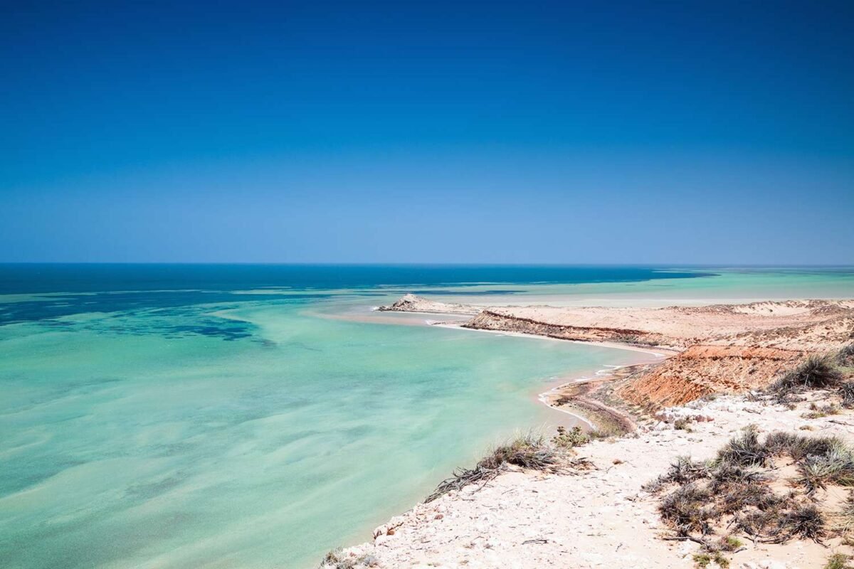 Is A Jaw Dropping Secret Uncovered Off Western Australia’s Shark Bay? Hold Onto