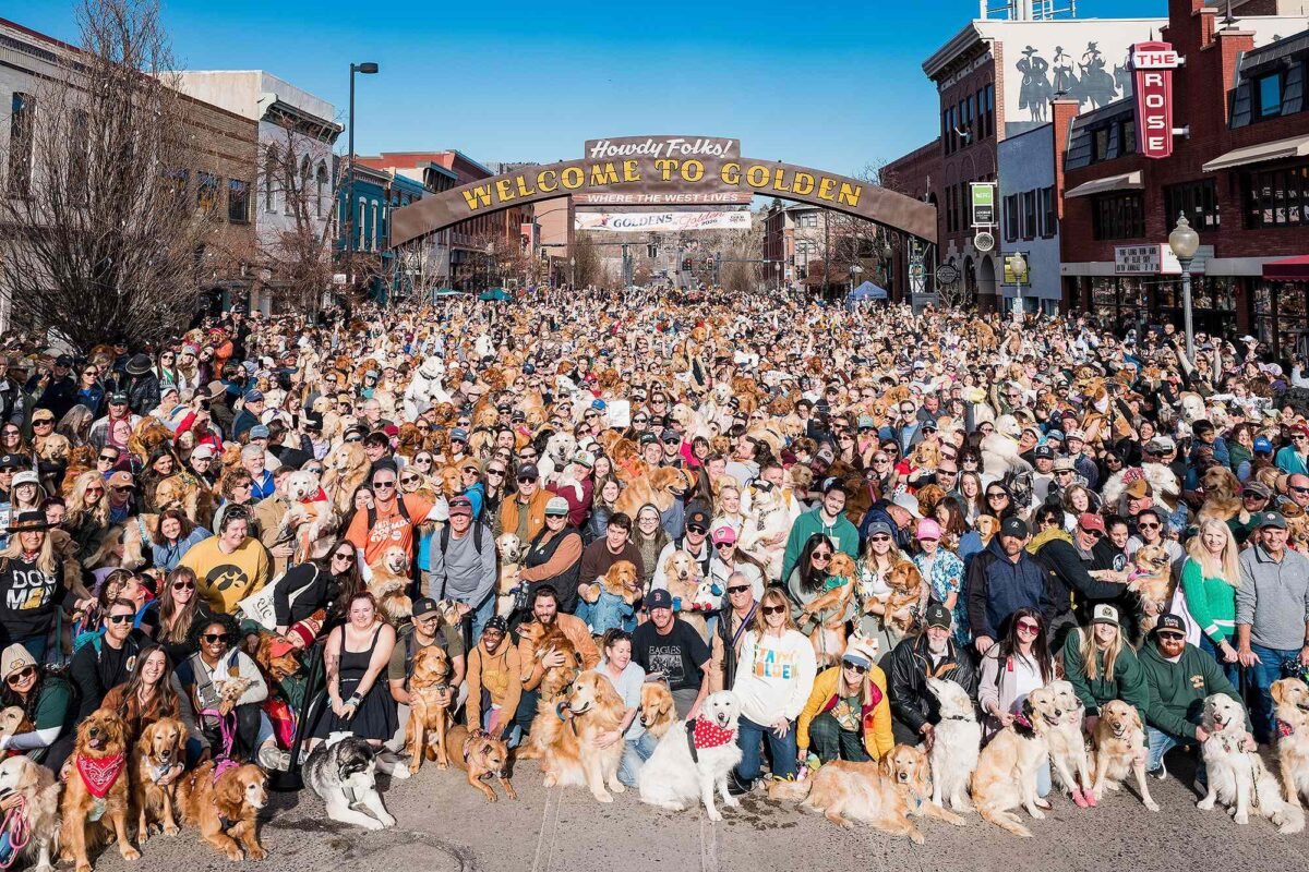 Is Golden, Colorado The Real Golden Retriever Paradise? Get Ready For The