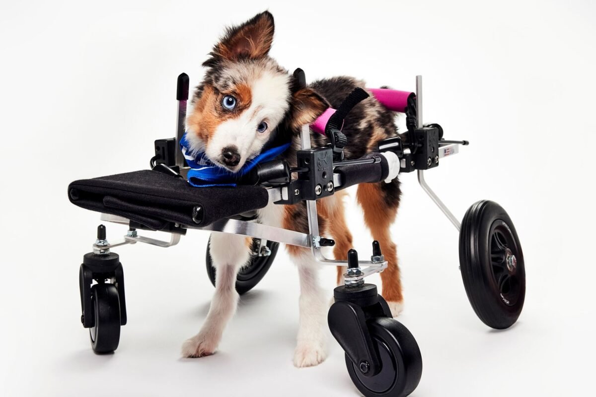 Is The Latest Viral Tribute The New Sweet Pea Moment We’re All