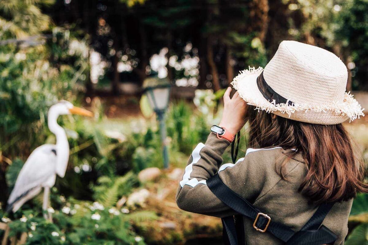 Is Your Hobby Secretly Saving Your Brain? New Research Unlocks The Power