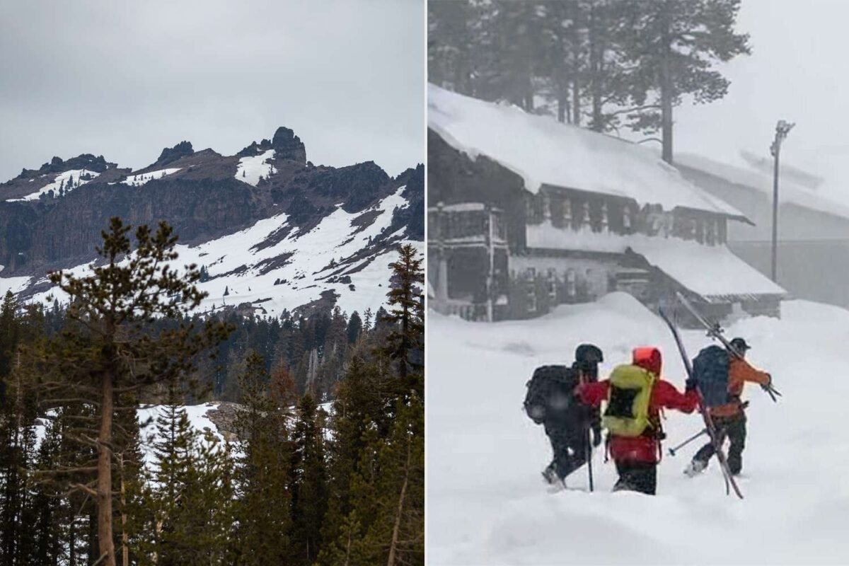 Avalanche Horror: 8 Confirmed Dead, But Is There Still Hope For The