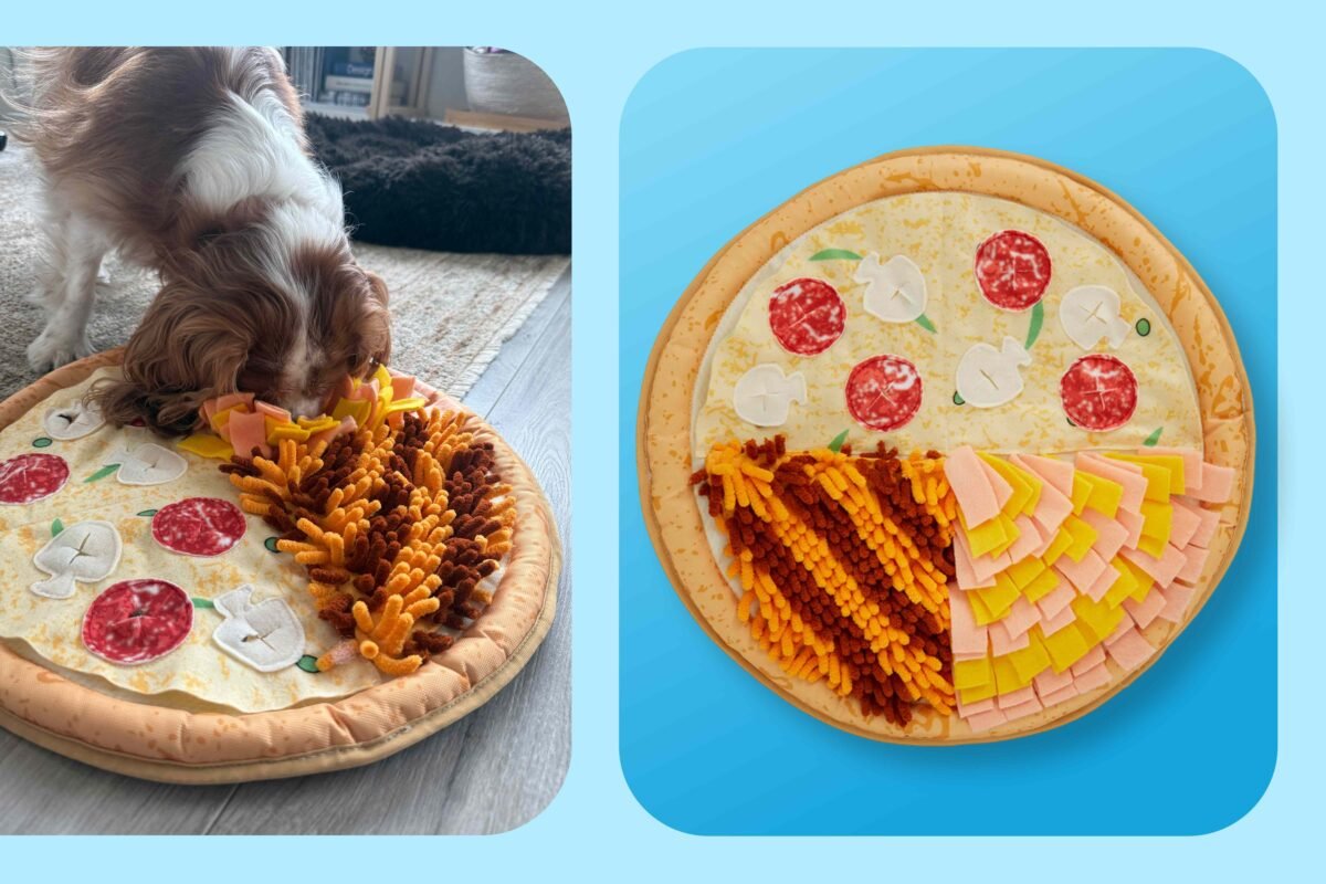 Is Your Favorite Gadget Secretly Indestructible? The Mind Blowing Truth About Effortless Tech