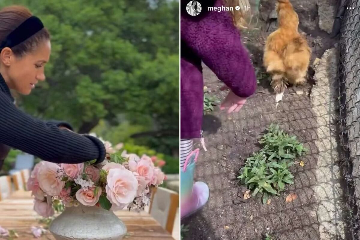 Prince Harry Steps In: Is He The Secret Green Thumb Behind Meghan’s