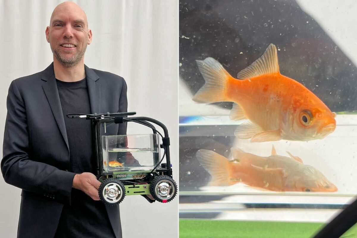 Is Blub The Goldfish Driving The Future Of Pet Tech? Forget Everything