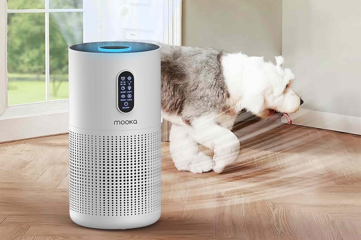 Forget Meds! Is This Smart Home Upgrade The Secret To Less Sickness?