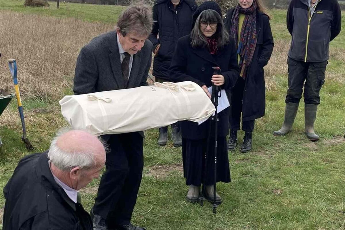 Are Real Human Skeletons Vanishing From Medical Schools? The Urgent Truth About