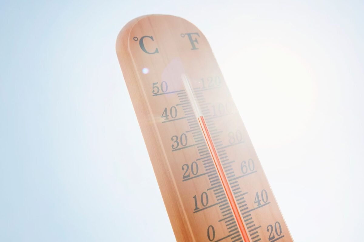 Is 110 Degrees Fahrenheit The New Normal? The Scorching Reality We Can’t