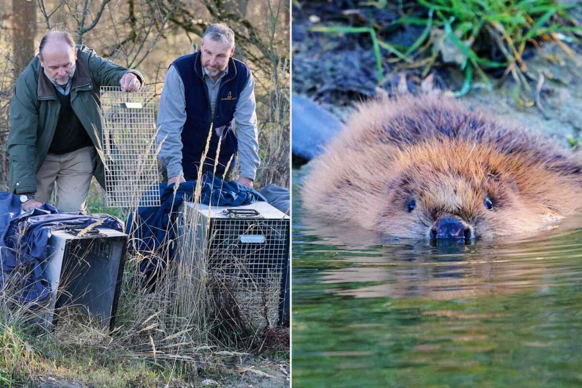 The Internet Is Buzzing About This Four Member Family – But What’s Their