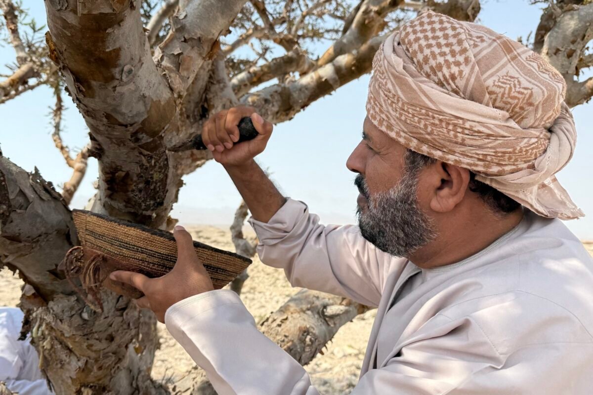 Forget Oil: Is The Iran War Silently Crushing The Ancient Frankincense Market?