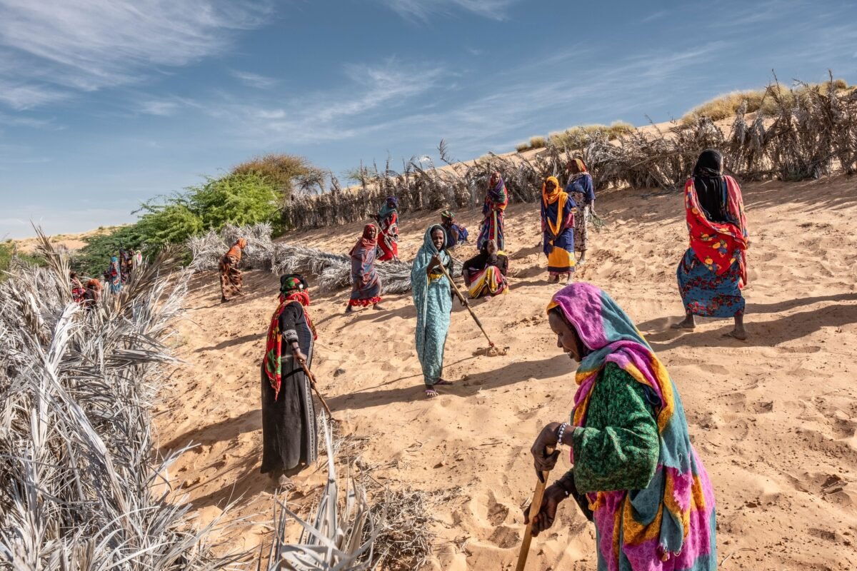 Is This Multibillion Dollar Global Re Greening Effort Secretly Saving Our Planet? Hold Up,