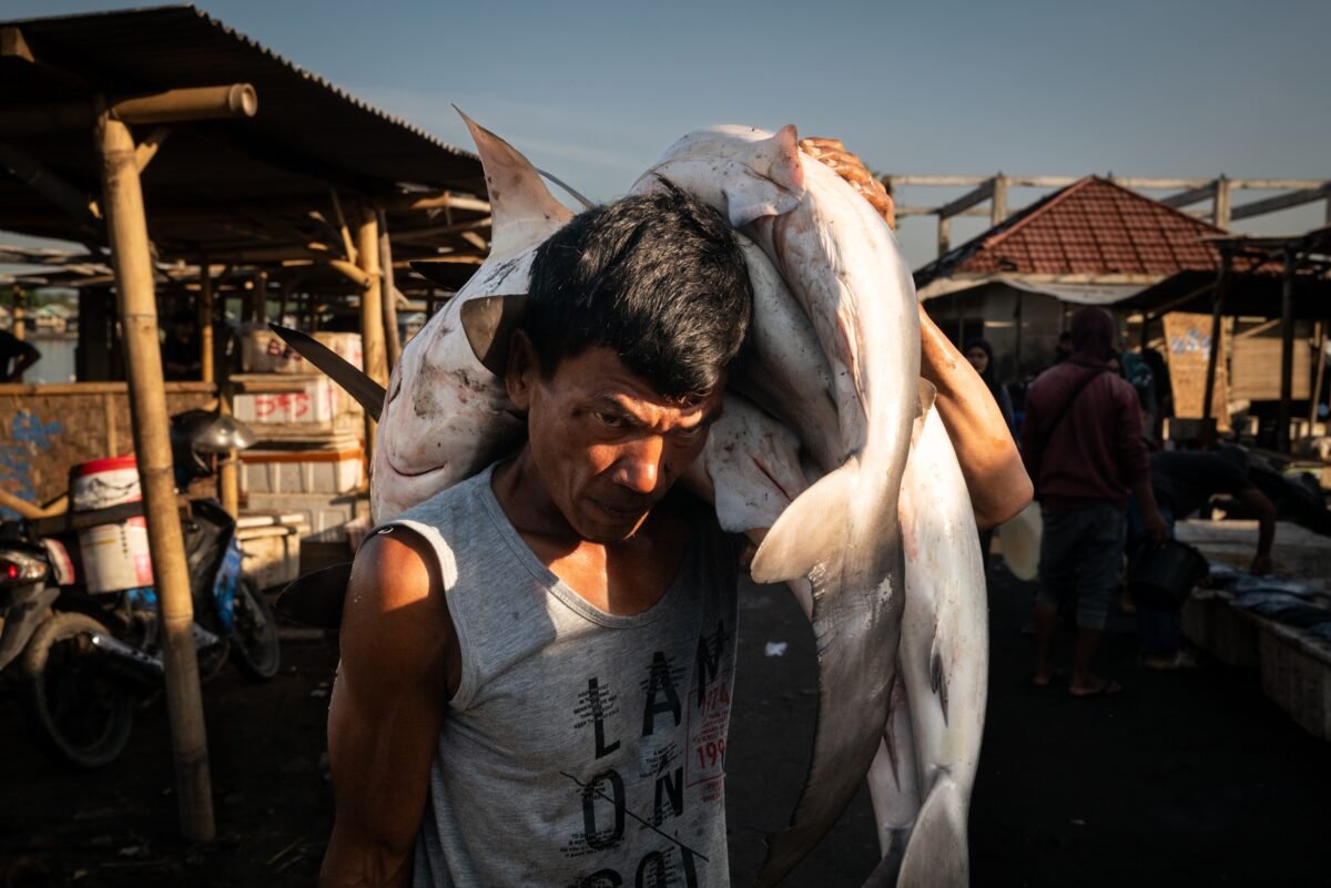 Over Half The World’s Fish Comes From Here – But For How
