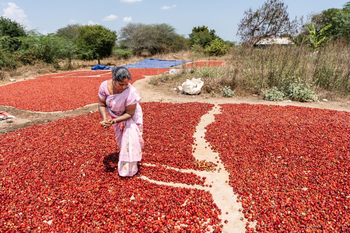 Why Are Indian Women Farmers Ditching Men For This Fiery Super Crop?