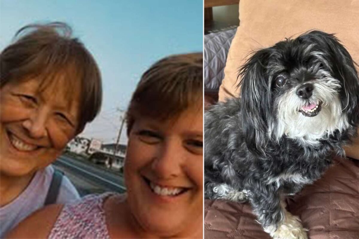 When ‘just A Pet’ Becomes Everything: Is Your Family Ready For The