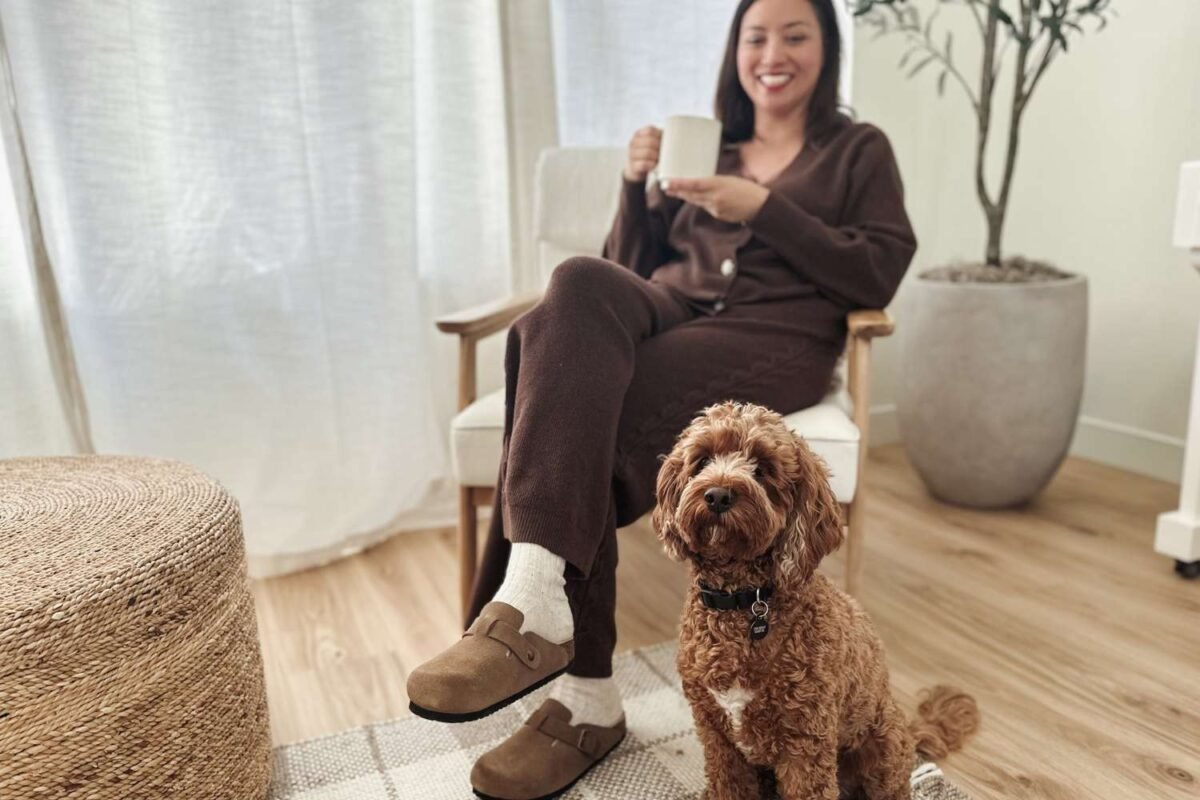 From Grocery Runs To School Drop Offs: Is This Your Ultimate Daily Companion