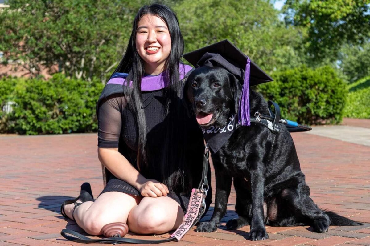 Triple Threat! Is Brizzy The Ultimate Graduation Companion, Celebrating Three Degrees With
