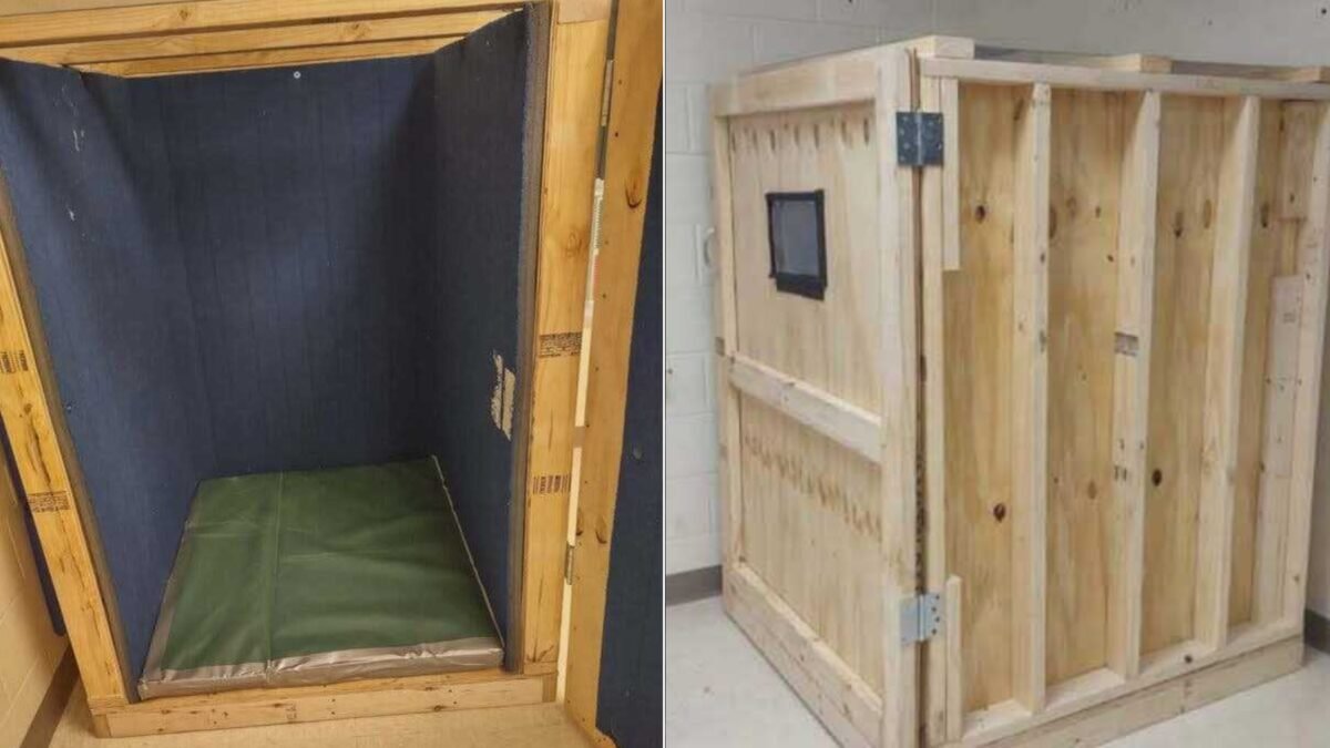 Unbelievable! Are Ny Special Ed Students Secretly Confined In Wooden Boxes?