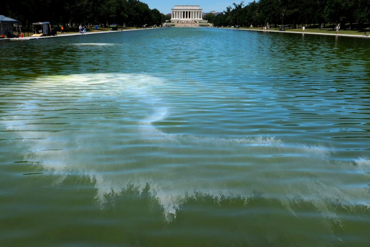 Is Your City’s Reflecting Pool Hiding A Green Secret? How Renovation May
