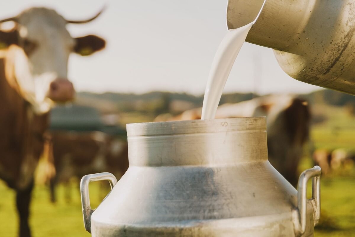 Is Your “healthy” Raw Milk Habit Secretly Making You Sick? The Urgent