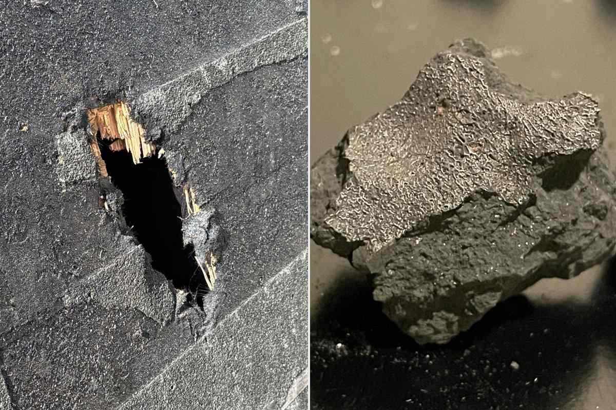 Is Your Home Hiding A Cosmic Secret? Nj Family’s Rare Meteorite Find