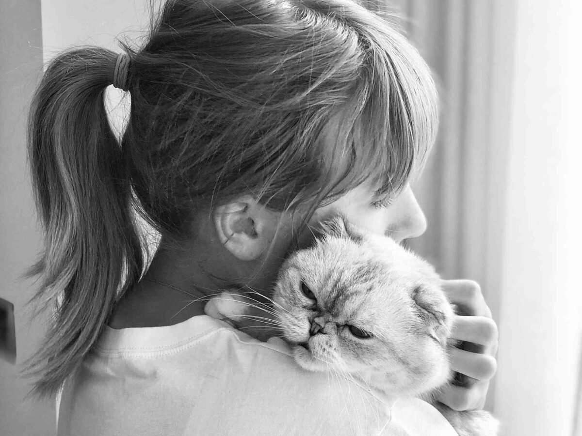 Taylor Swift’s Cats: Are They The Ultimate Vetting Committee For Her New