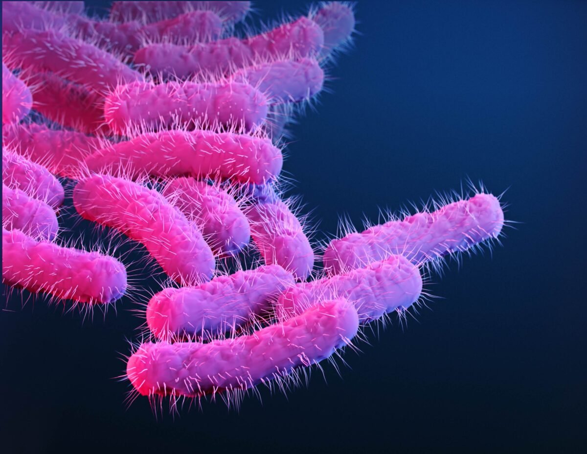 Breaking: Could This Vaccine Trial Finally Stop The Global Diarrheal Disease Crisis?