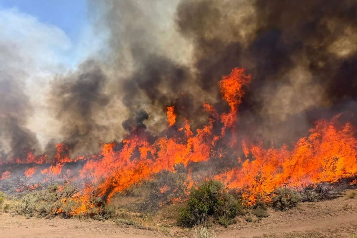 Is The Us Facing A Wildfire Catastrophe? 183 New Blazes Ignite In