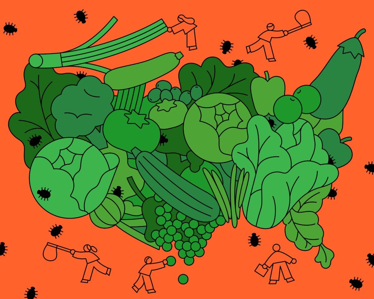 Record Cyclosporiasis Outbreak: Are Budget Cuts Putting Your Food Safety At Risk?